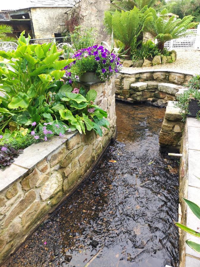 圣奥斯特尔Pleasant Streams Barn住宿加早餐旅馆 外观 照片